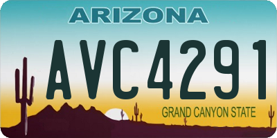 AZ license plate AVC4291