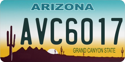AZ license plate AVC6017