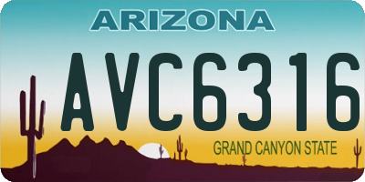 AZ license plate AVC6316