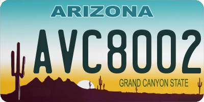 AZ license plate AVC8002