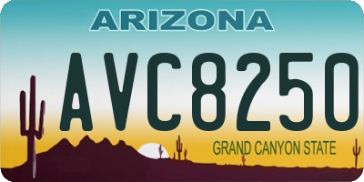 AZ license plate AVC8250