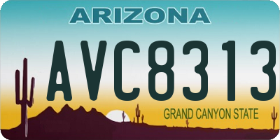 AZ license plate AVC8313