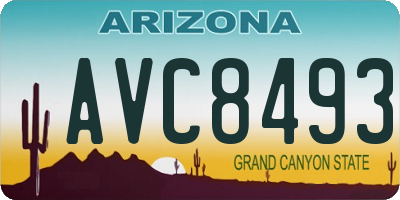 AZ license plate AVC8493