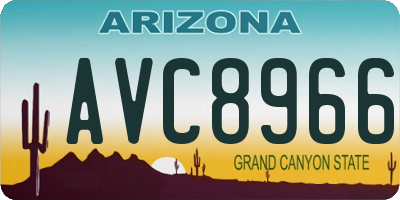 AZ license plate AVC8966