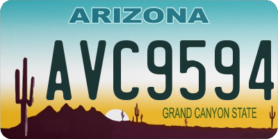 AZ license plate AVC9594