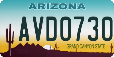 AZ license plate AVD0730