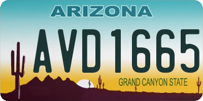 AZ license plate AVD1665