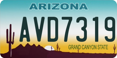 AZ license plate AVD7319