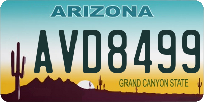 AZ license plate AVD8499