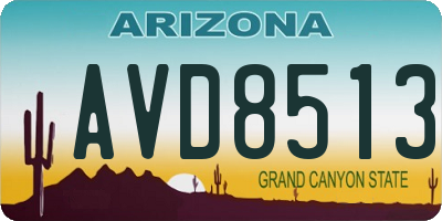 AZ license plate AVD8513