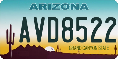 AZ license plate AVD8522