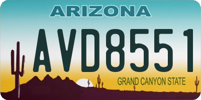 AZ license plate AVD8551