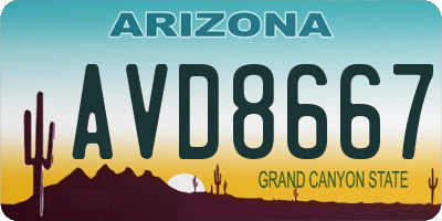 AZ license plate AVD8667