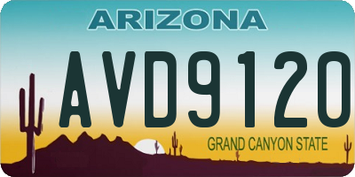 AZ license plate AVD9120