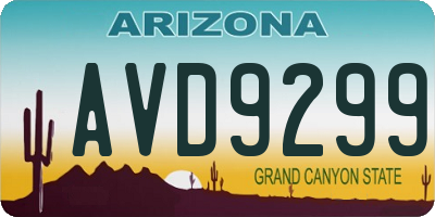 AZ license plate AVD9299