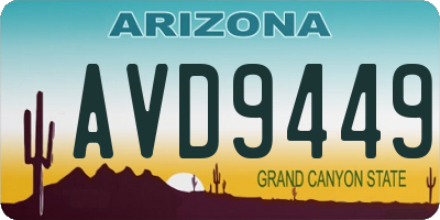 AZ license plate AVD9449