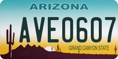 AZ license plate AVE0607