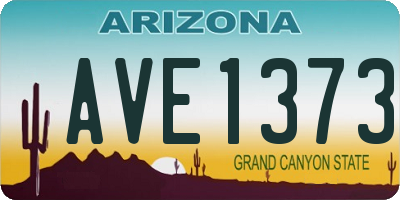 AZ license plate AVE1373