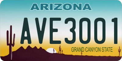 AZ license plate AVE3001
