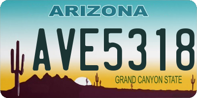 AZ license plate AVE5318