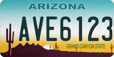 AZ license plate AVE6123