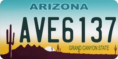 AZ license plate AVE6137