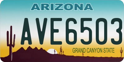 AZ license plate AVE6503