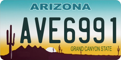 AZ license plate AVE6991
