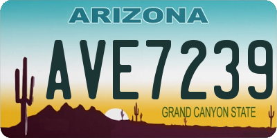 AZ license plate AVE7239
