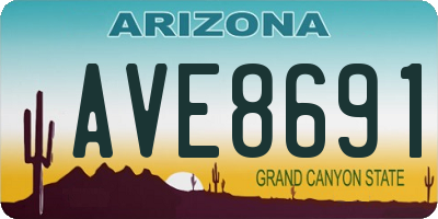 AZ license plate AVE8691