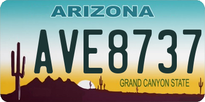 AZ license plate AVE8737
