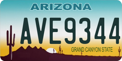 AZ license plate AVE9344
