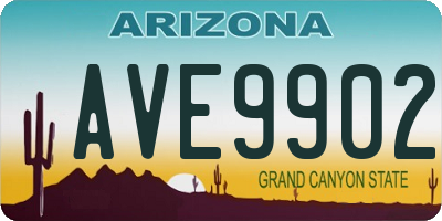 AZ license plate AVE9902