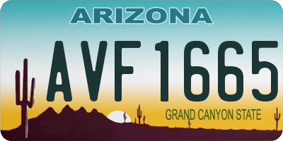 AZ license plate AVF1665