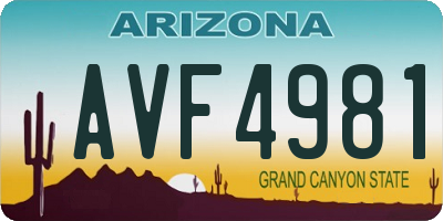 AZ license plate AVF4981