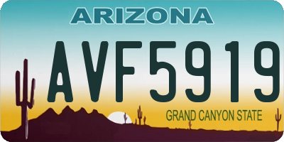 AZ license plate AVF5919