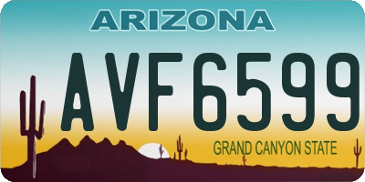 AZ license plate AVF6599