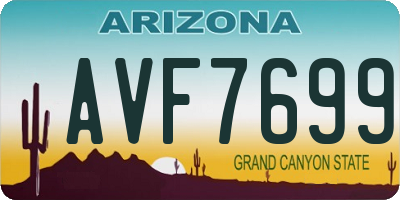AZ license plate AVF7699