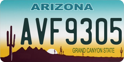 AZ license plate AVF9305