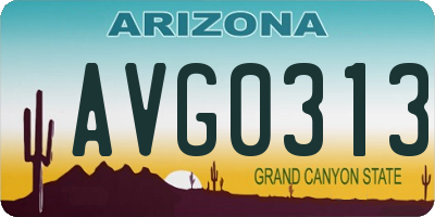 AZ license plate AVG0313