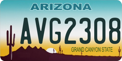 AZ license plate AVG2308