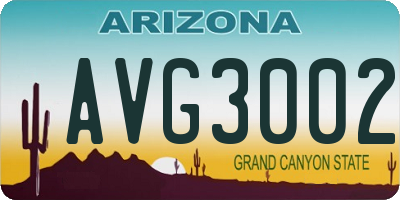 AZ license plate AVG3002