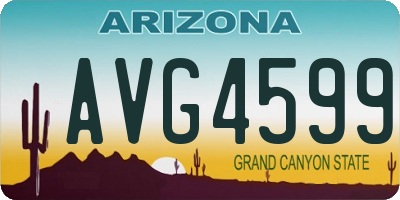 AZ license plate AVG4599