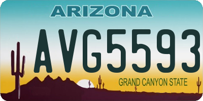 AZ license plate AVG5593