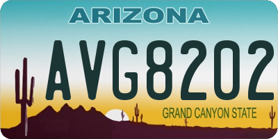 AZ license plate AVG8202