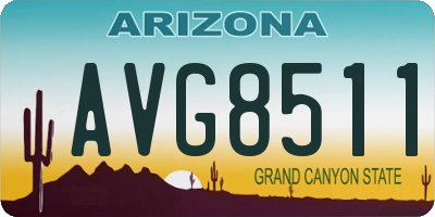 AZ license plate AVG8511