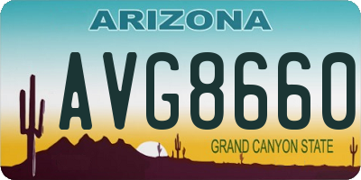 AZ license plate AVG8660