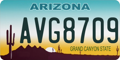 AZ license plate AVG8709
