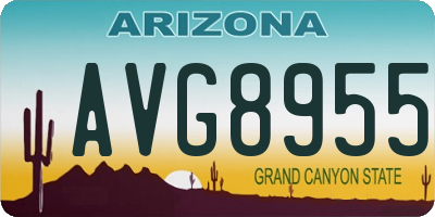 AZ license plate AVG8955