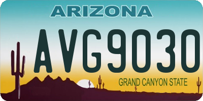 AZ license plate AVG9030